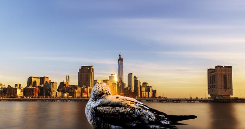 Flotando por encima de la tierra, como un pájaro Flotando por encima de la tierra, como un pájaro