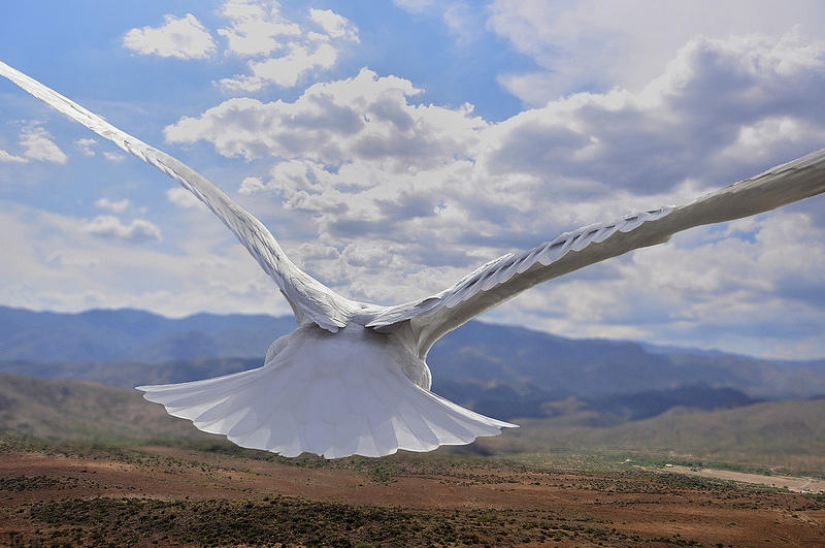 Flotando por encima de la tierra, como un pájaro Flotando por encima de la tierra, como un pájaro