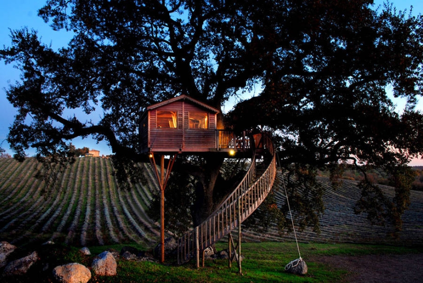 For this tree house you will give up everything and move to Tuscany For this tree house you will give up everything and move to Tuscany
