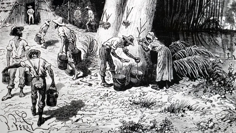 Fordlandia: cómo el fabricante de automóviles Henry Ford construyó una “ciudad de la felicidad” en la jungla Fordlandia: cómo el fabricante de automóviles Henry Ford construyó una “ciudad de la felicidad” en la jungla