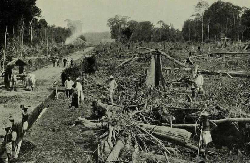 Fordlandia: cómo el fabricante de automóviles Henry Ford construyó una “ciudad de la felicidad” en la jungla Fordlandia: cómo el fabricante de automóviles Henry Ford construyó una “ciudad de la felicidad” en la jungla