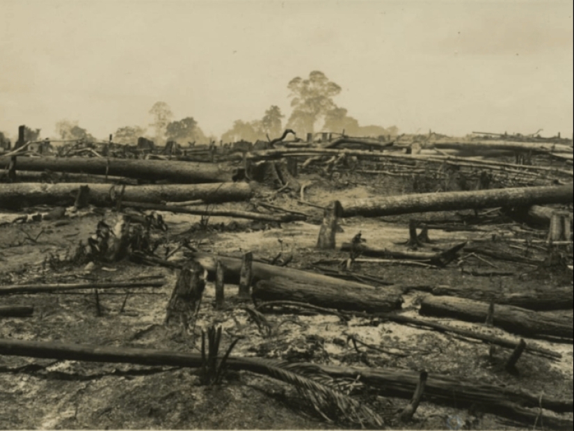 Fordlandia: cómo el fabricante de automóviles Henry Ford construyó una “ciudad de la felicidad” en la jungla Fordlandia: cómo el fabricante de automóviles Henry Ford construyó una “ciudad de la felicidad” en la jungla