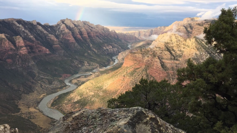 Forest Fenn's Treasure: The Mysterious Modern Treasure That Cost Many Lives