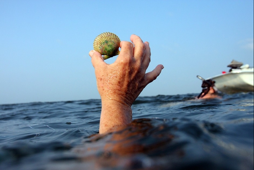 Forgotten delicacies return to the bosom of high Russian cuisine