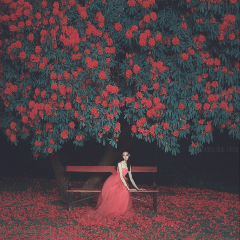 Former Playboy model turned photographer