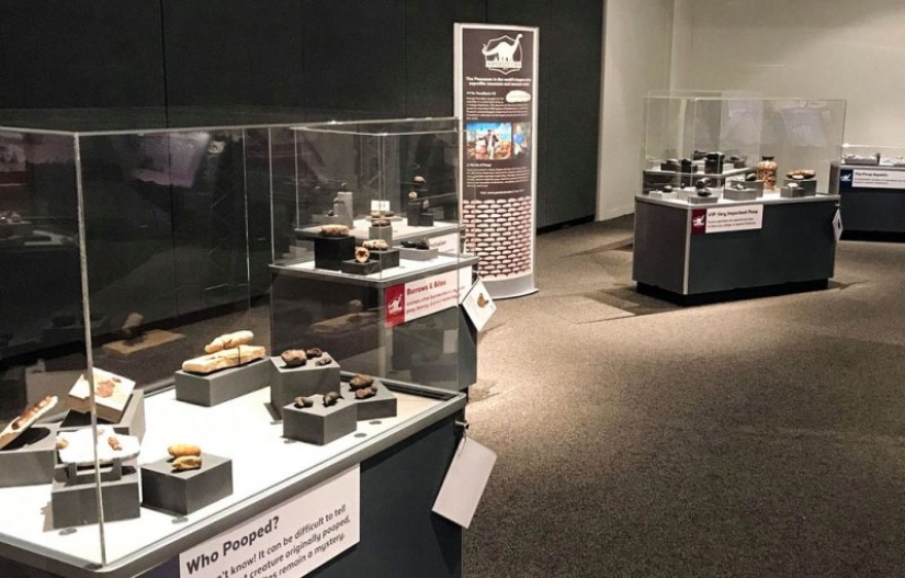 Fossil stool researchers: who are they and why our future is in their hands