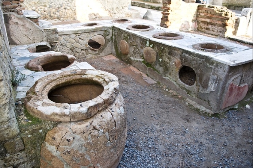 Fossil stool researchers: who are they and why our future is in their hands