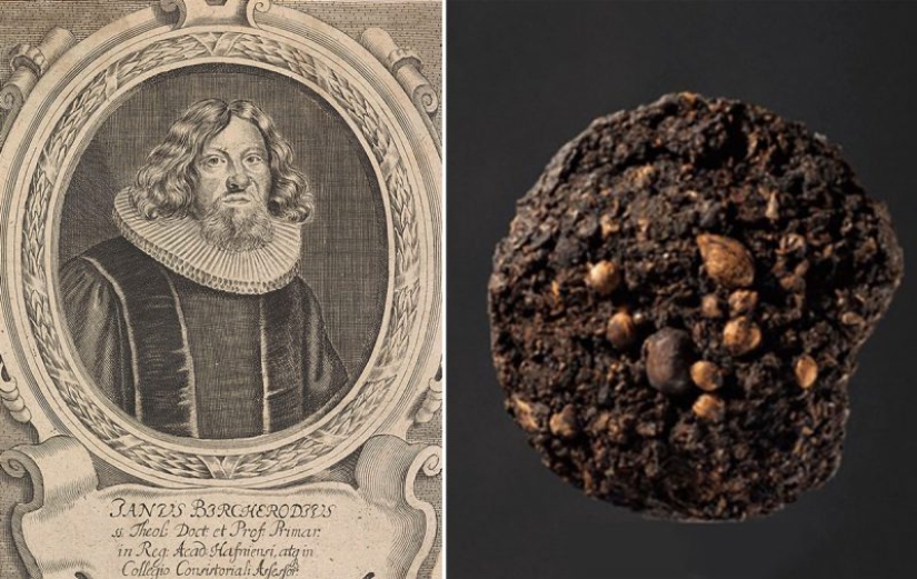 Fossil stool researchers: who are they and why our future is in their hands