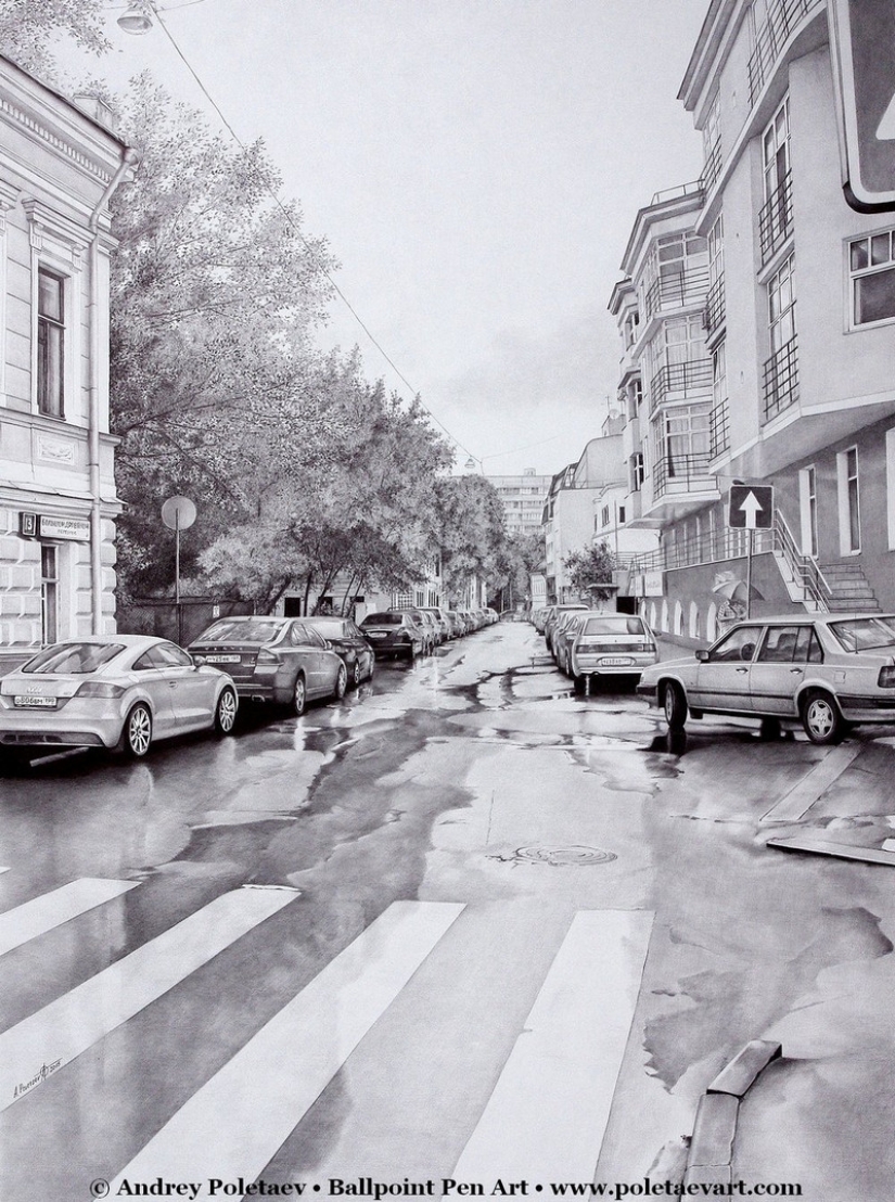 Fotorrealista de la pintura con un bolígrafo de Andrey Poletaev Fotorrealista de la pintura con un bolígrafo de Andrey Poletaev