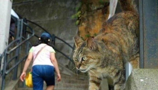 Fotos de una fractura de la perspectiva, que no es lo que piensas Fotos de una fractura de la perspectiva, que no es lo que piensas