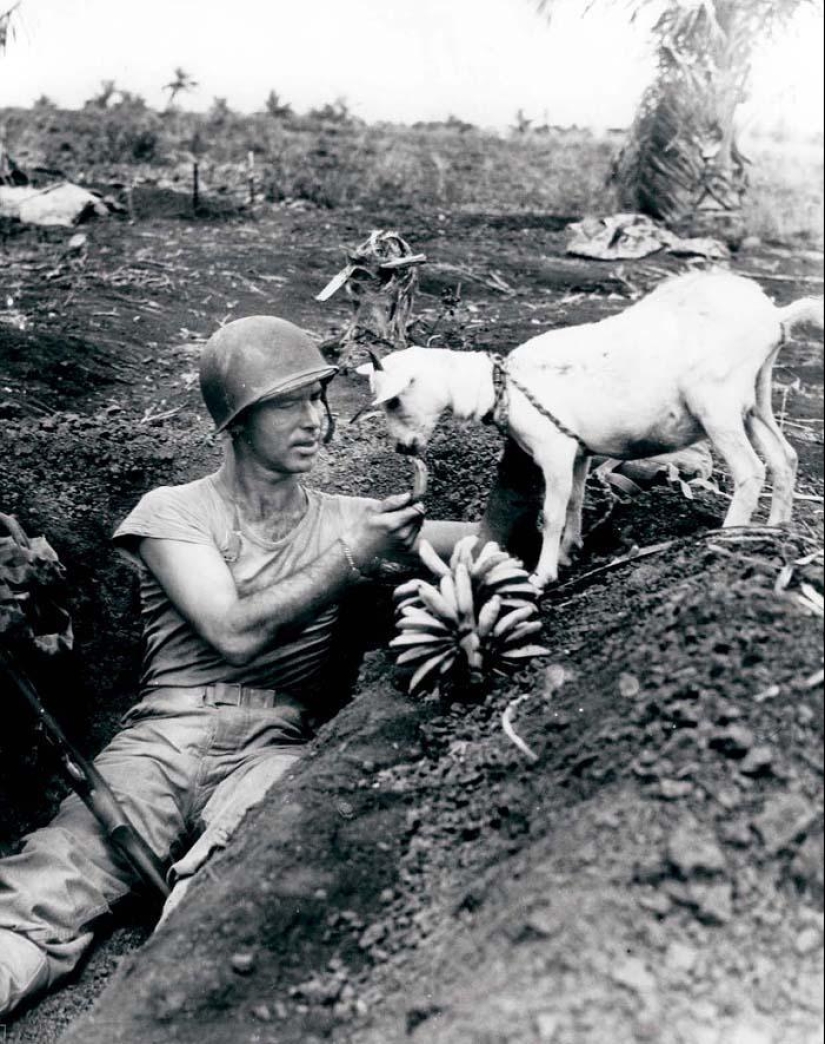 Fotos del pasado que vale la pena ver Fotos del pasado que vale la pena ver
