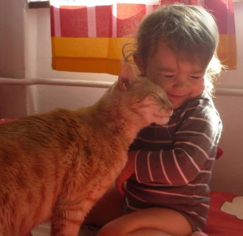Fotos encantadoras que demuestran que su hijo necesita un gato