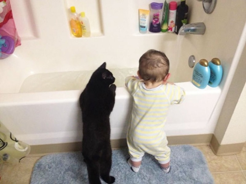 Fotos encantadoras que demuestran que su hijo necesita un gato