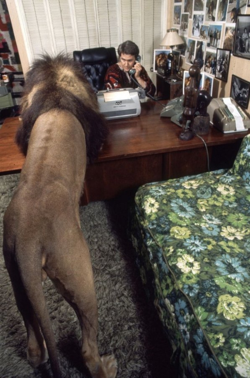 Fotos increíbles de los años 70: Melanie Griffith y Lev Neil Fotos increíbles de los años 70: Melanie Griffith y Lev Neil