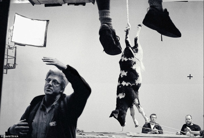 Fotos sinceras de los sets de películas famosas de Hollywood