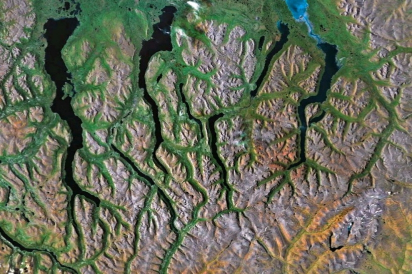 Fractal patterns on the surface of the Earth Fractal patterns on the surface of the Earth