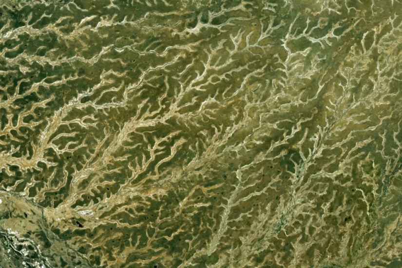 Fractal patterns on the surface of the Earth Fractal patterns on the surface of the Earth