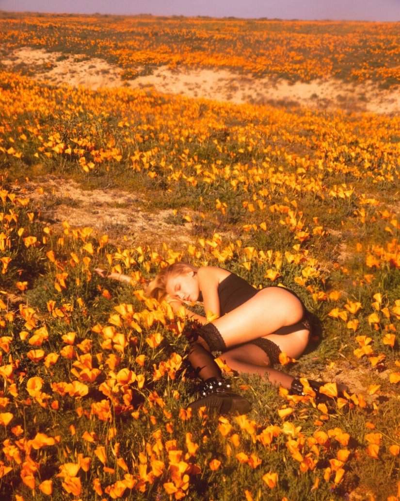 Free, sincere, lively girls in the photo of Michael Donovan Free, sincere, lively girls in the photo of Michael Donovan