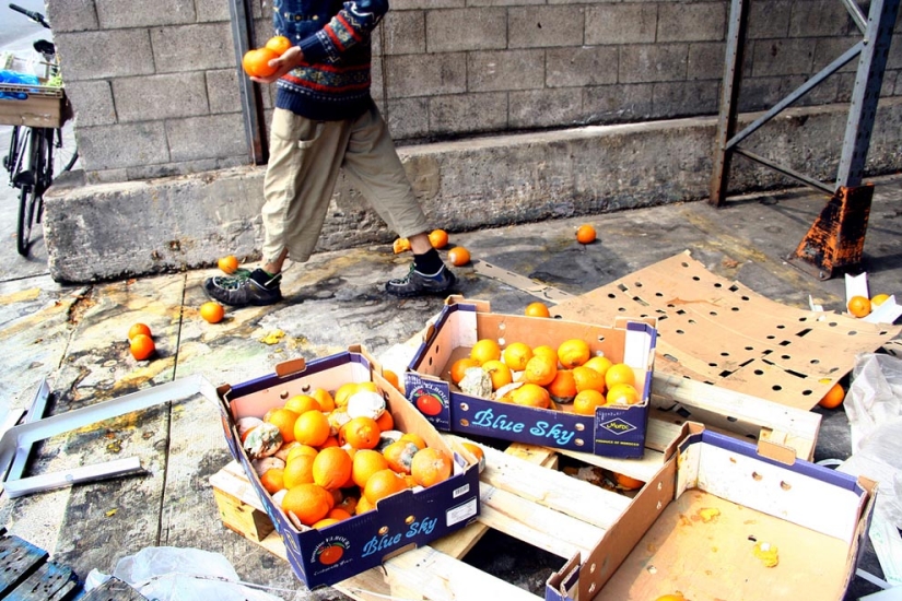 Freeganismo - negación del consumismo Freeganismo - negación del consumismo