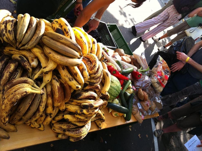 Freeganismo - negación del consumismo Freeganismo - negación del consumismo