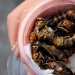 Fried wasps — the delicacy of Japanese cuisine