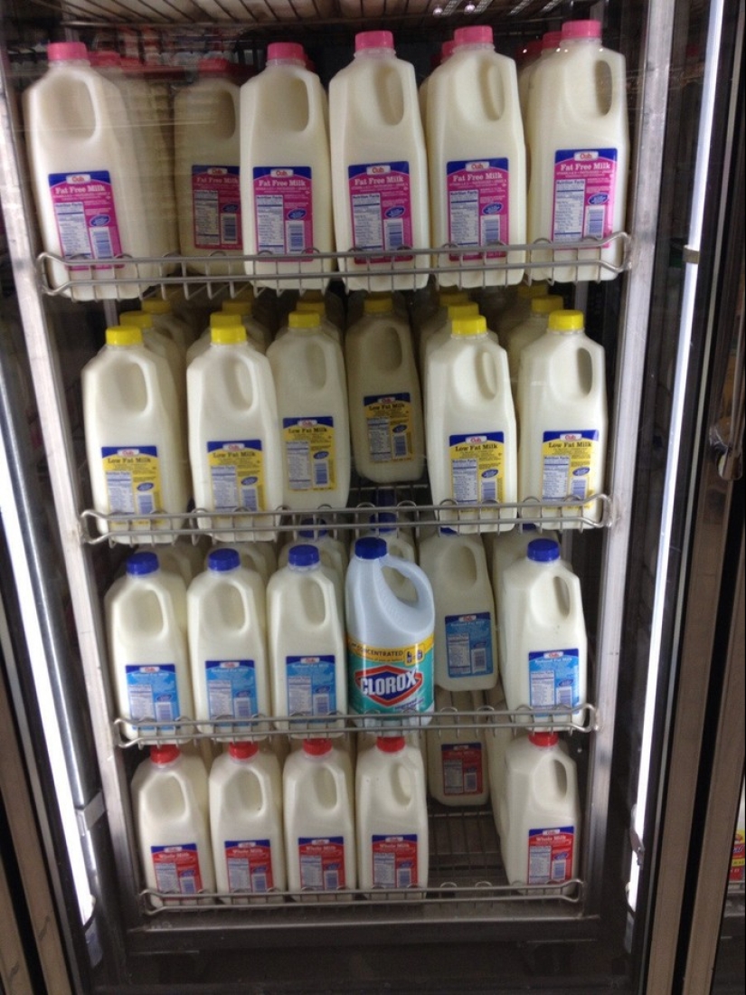 Friend among Foes, Friend among Foes: 18 Great cases of Disguise Friend among Foes, Friend among Foes: 18 Great cases of Disguise