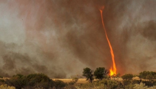 Frightening wonders of nature: What a fire tornado looks like Frightening wonders of nature: What a fire tornado looks like