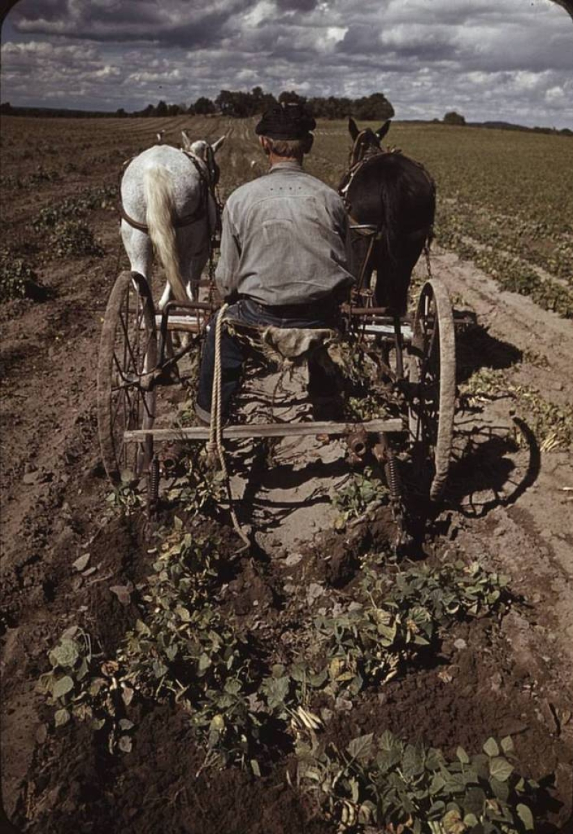 From horses to " Ford»: how the Wild West was "domesticated" From horses to " Ford»: how the Wild West was "domesticated"