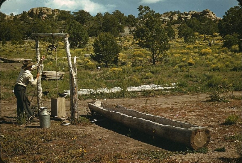 From horses to " Ford»: how the Wild West was "domesticated" From horses to " Ford»: how the Wild West was "domesticated"