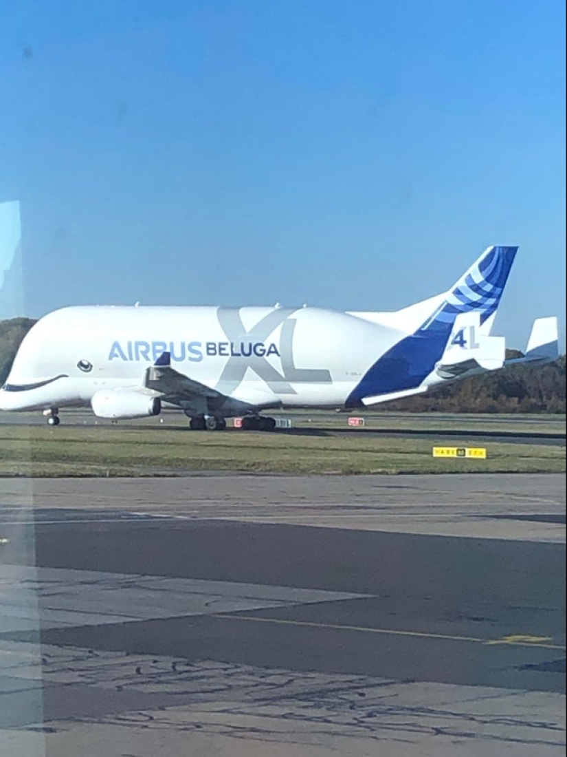 From Malachite to Zimbabwe's Trillion: 22 Amazing Photos You Don't See Every Day From Malachite to Zimbabwe's Trillion: 22 Amazing Photos You Don't See Every Day