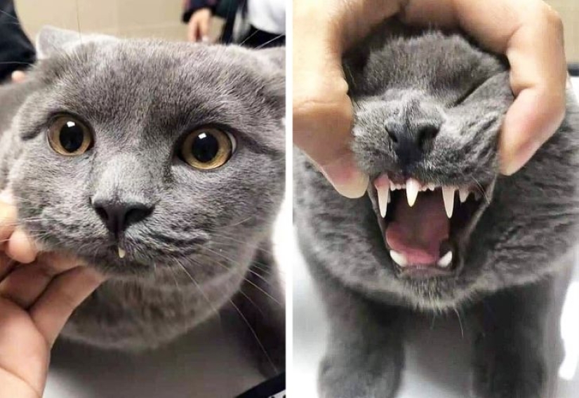 From Malachite to Zimbabwe's Trillion: 22 Amazing Photos You Don't See Every Day From Malachite to Zimbabwe's Trillion: 22 Amazing Photos You Don't See Every Day