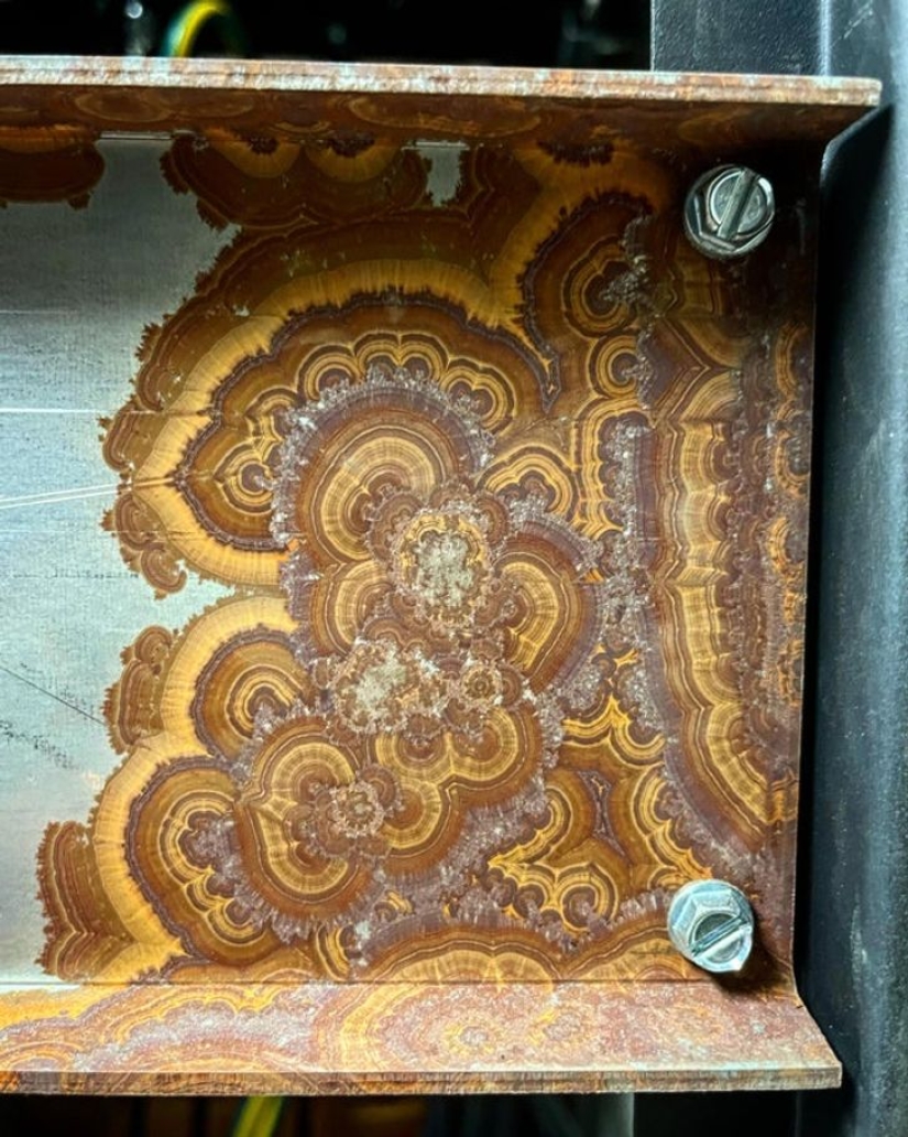 From Malachite to Zimbabwe's Trillion: 22 Amazing Photos You Don't See Every Day From Malachite to Zimbabwe's Trillion: 22 Amazing Photos You Don't See Every Day