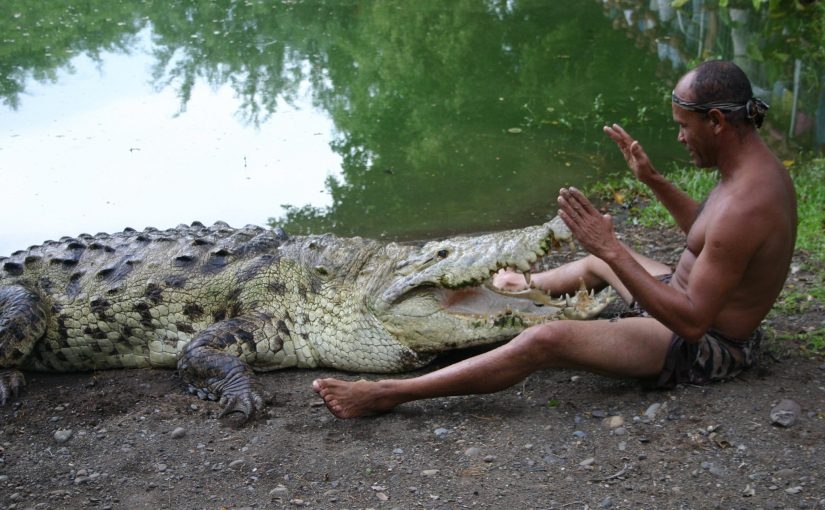 From sex with a crocodile before jumping into the ground: the most severe ways of male initiation From sex with a crocodile before jumping into the ground: the most severe ways of male initiation