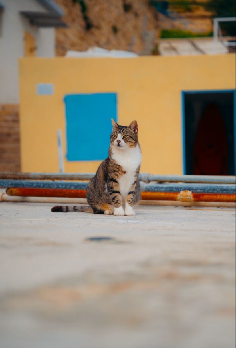 Fui a La Valeta, Malta: aquí hay 17 fotos que muestran su belleza