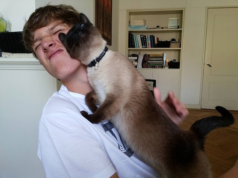 Funny animals that need the attention of the owner right now