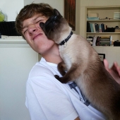 Funny animals that need the attention of the owner right now