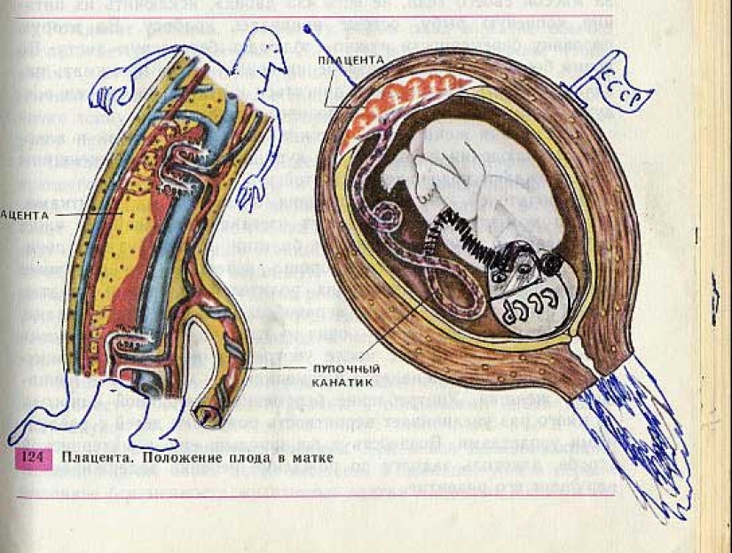 Funny Biology Textbook Takes You Back to 9th Grade Funny Biology Textbook Takes You Back to 9th Grade