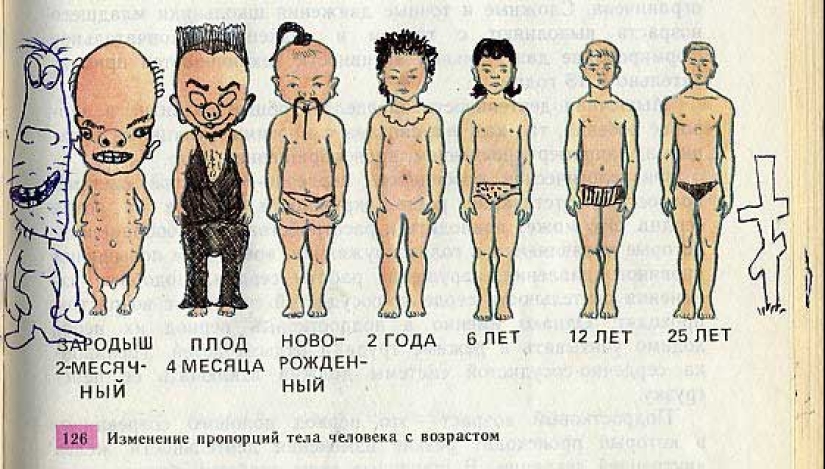 Funny Biology Textbook Takes You Back to 9th Grade Funny Biology Textbook Takes You Back to 9th Grade