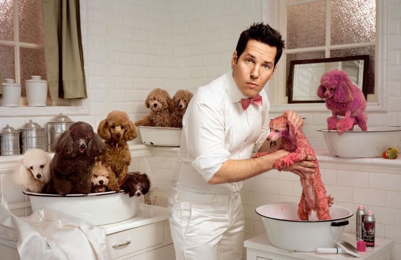 Funny celebrity photos by Martin Scholler Funny celebrity photos by Martin Scholler