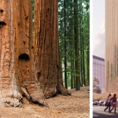 Futuristic masterpieces Koichi Takada, the Japanese architect, who is looking for inspiration in nature