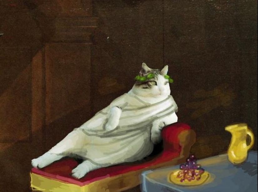 Gato Tombili de Estambul, a quien se le erigió un monumento por una pose imponente Gato Tombili de Estambul, a quien se le erigió un monumento por una pose imponente