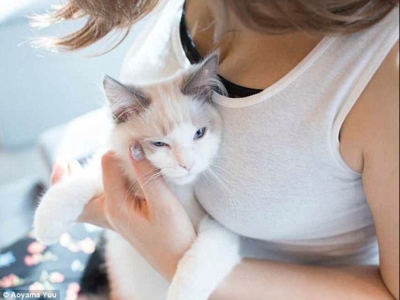 Gatos y pechos: un álbum tranquilizador de un fotógrafo japonés Gatos y pechos: un álbum tranquilizador de un fotógrafo japonés
