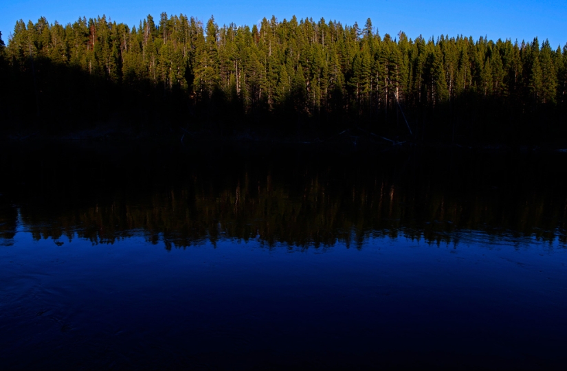 Géiseres, bisontes y otros lugares de interés de Yellowstone Géiseres, bisontes y otros lugares de interés de Yellowstone