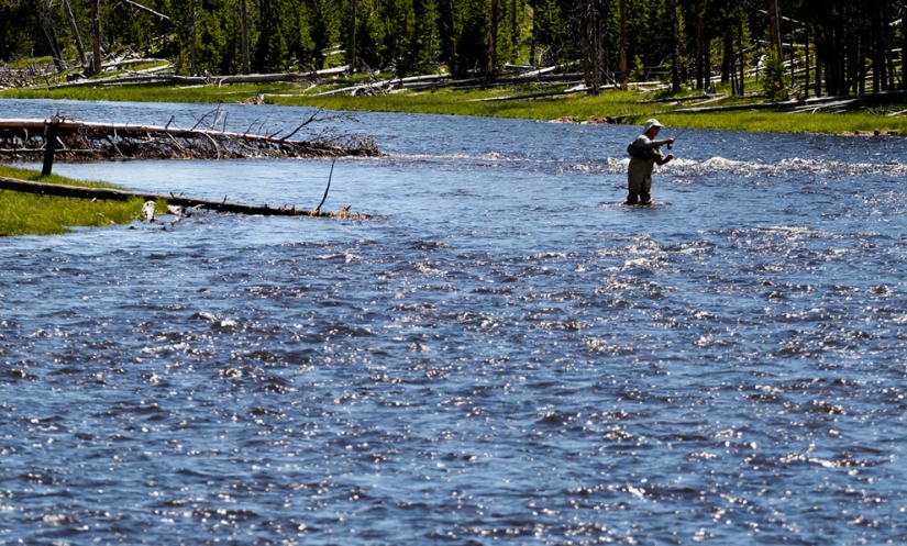 Géiseres, bisontes y otros lugares de interés de Yellowstone Géiseres, bisontes y otros lugares de interés de Yellowstone