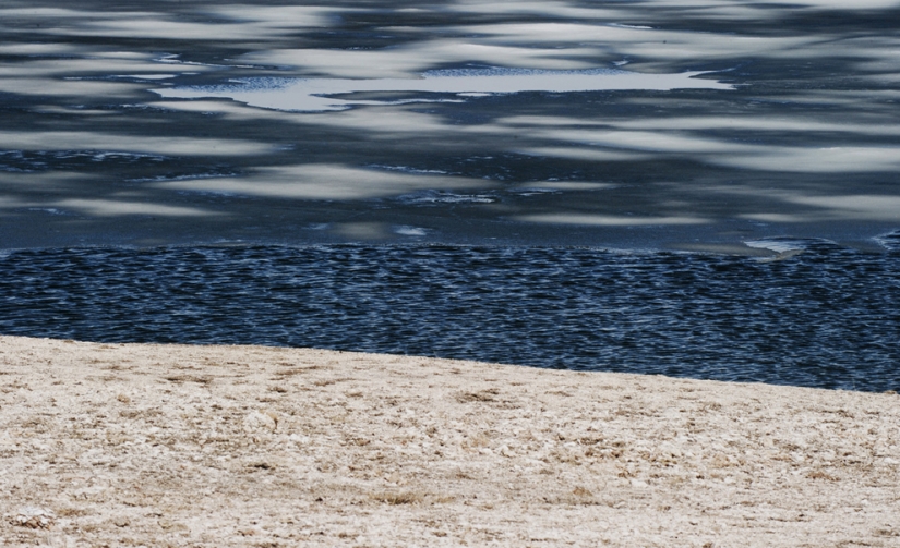 Géiseres, bisontes y otros lugares de interés de Yellowstone Géiseres, bisontes y otros lugares de interés de Yellowstone