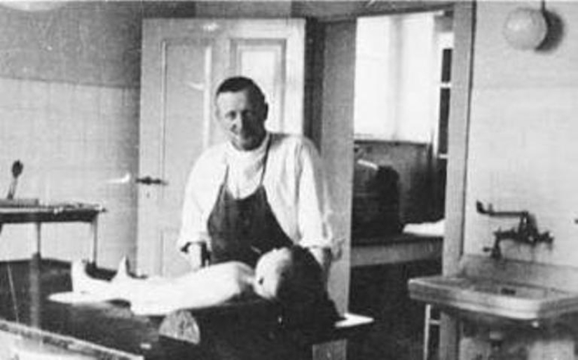 Gemini Project. Truth or fiction?