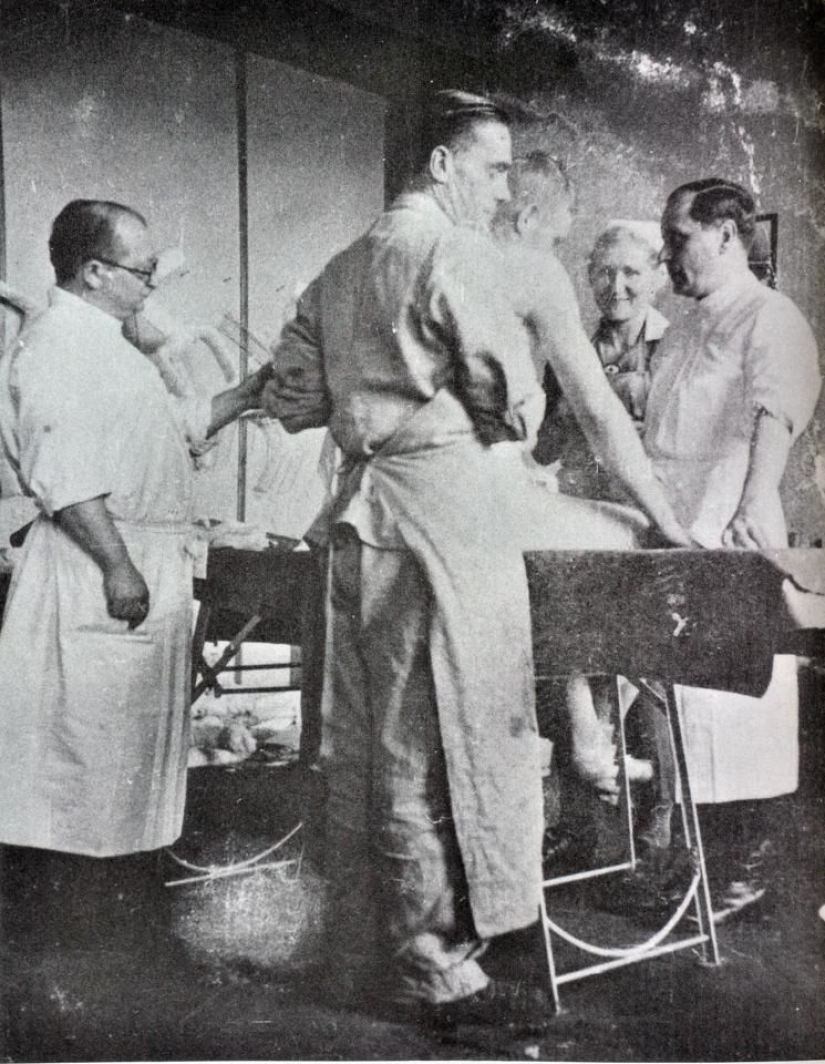 Gemini Project. Truth or fiction?