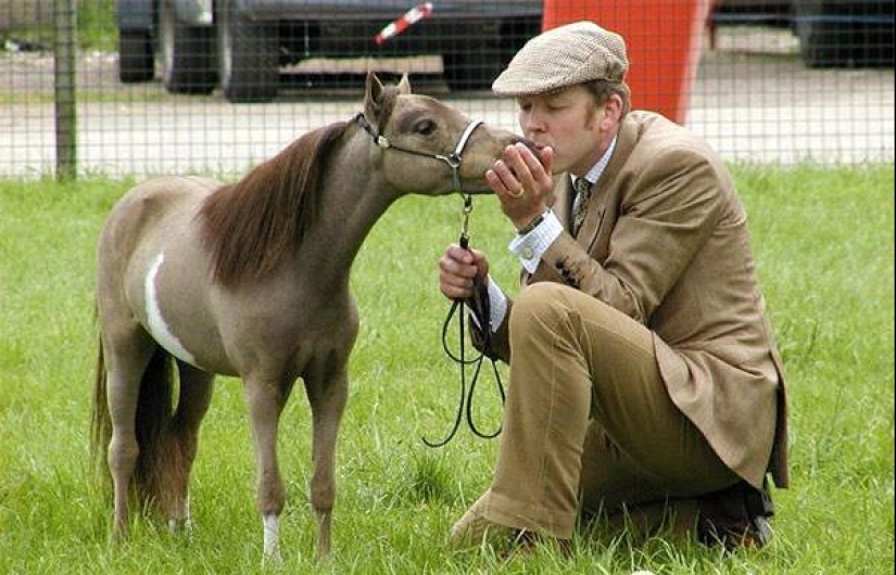 Gigantes y enanos de el mundo de los animales: los contrastes son evidentes sólo cuando se comparan