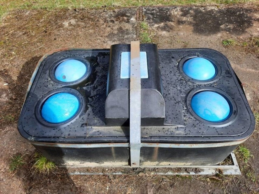 Gingham napkin and 22 more things whose meaning explained the collective mind