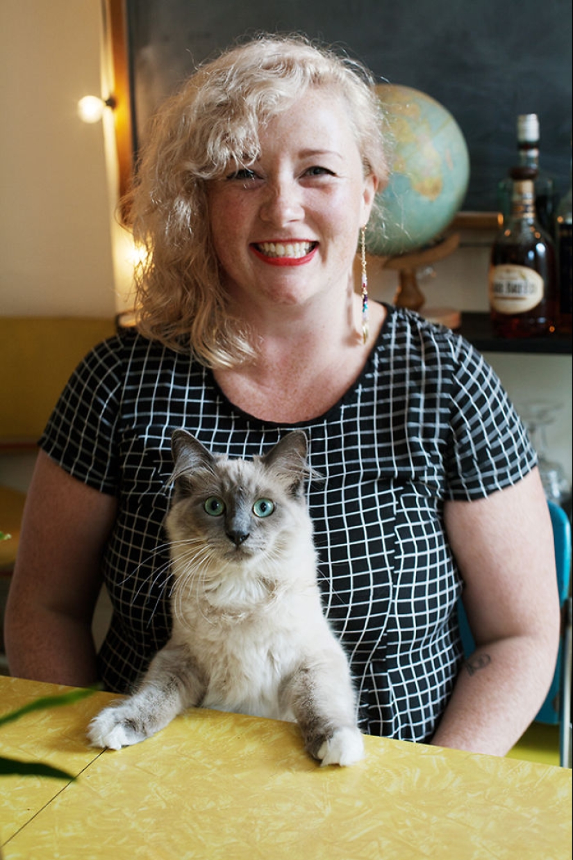 Girl, sheltered homeless cats